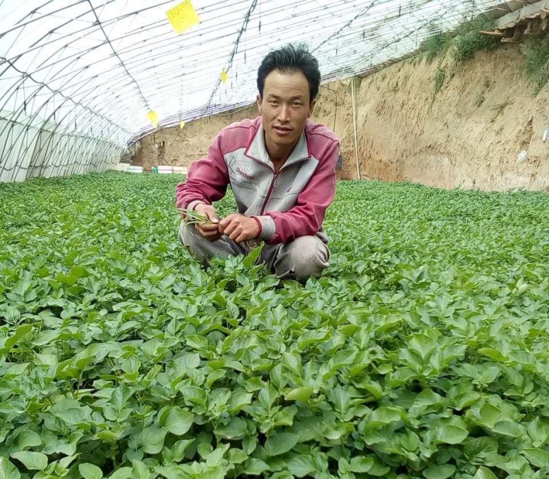 微信图片_20201209160438