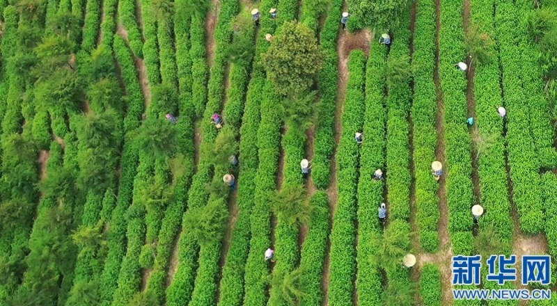 1128522467_16487758355071n