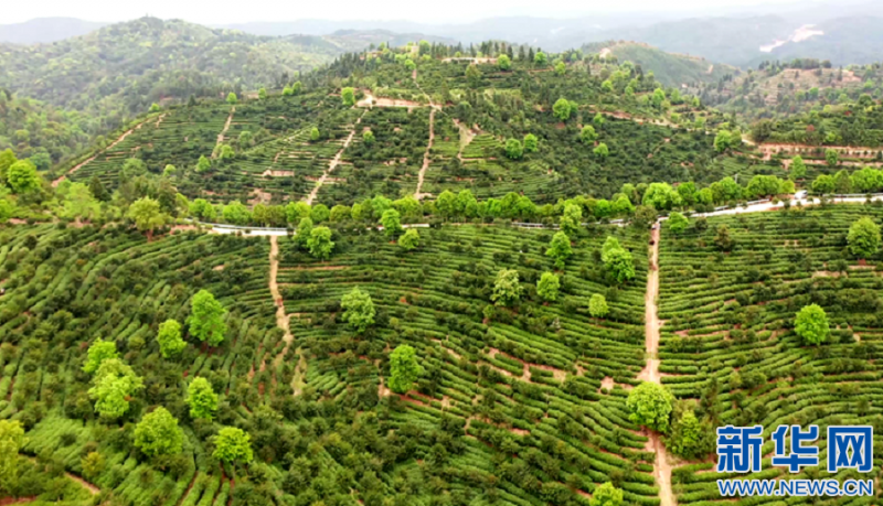 1128522467_16487758355721n