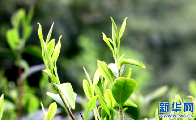 1128522467_16487758358241n