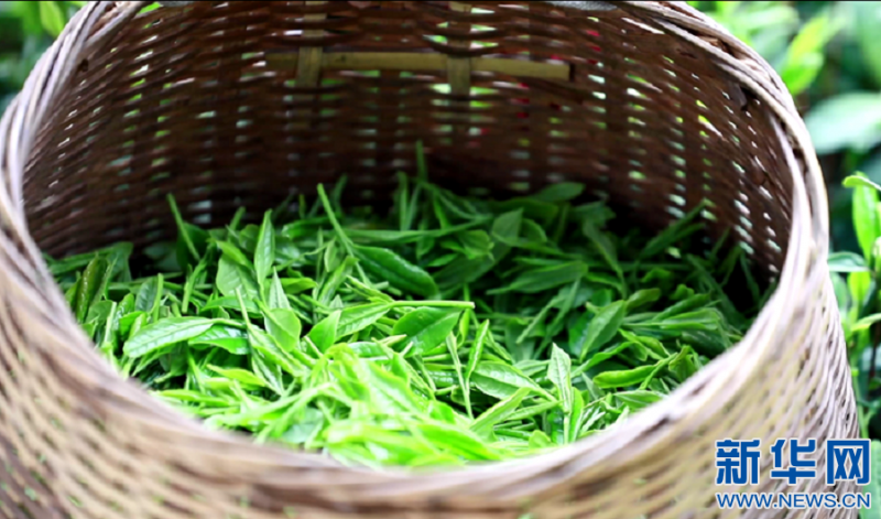 1128522467_16487758366751n