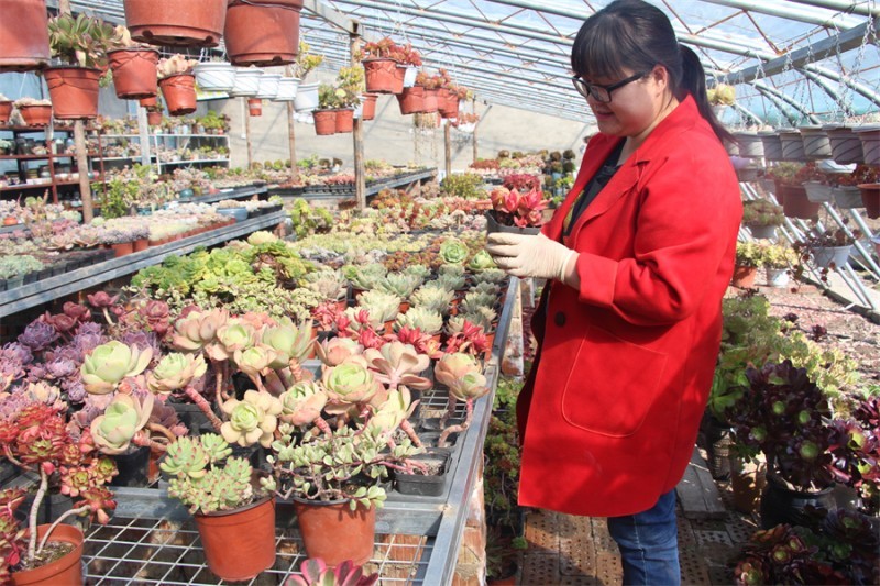 1128608095_16512079854211n