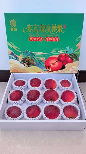 微信图片_20260909100426